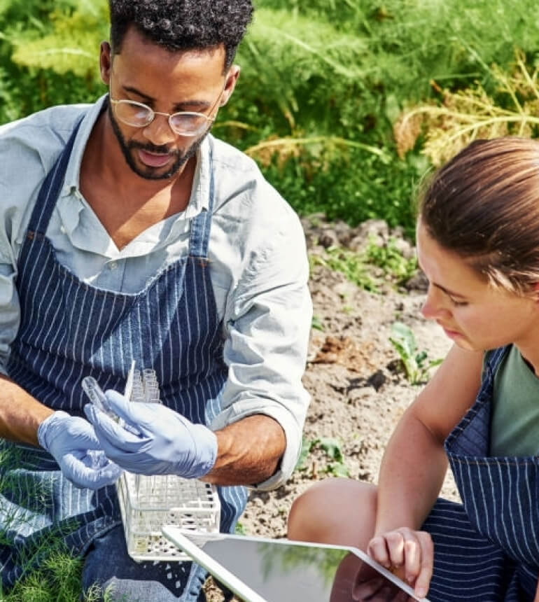 Factorial based industry of Oil is getting new.